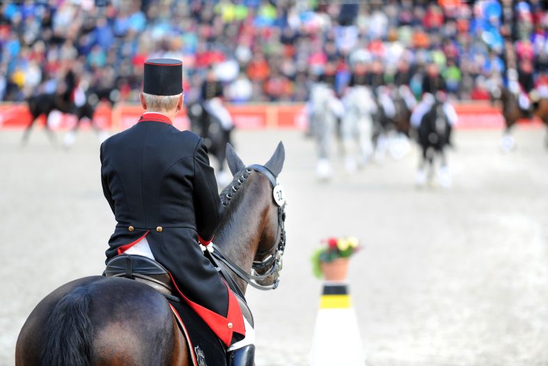 HP 2017 (Foto: Stephan Kube)