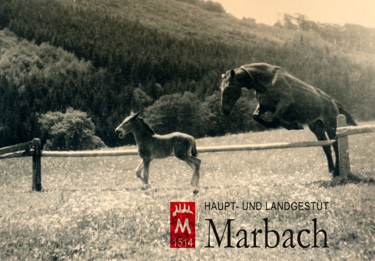 Optima v. Optiker (Foto: Guttmann)