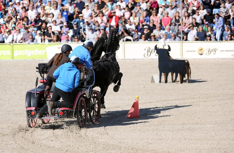 Marbacher Hengstparaden 2019