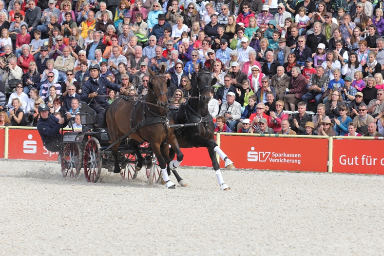 HP 2013 (Foto: Silke Busse)