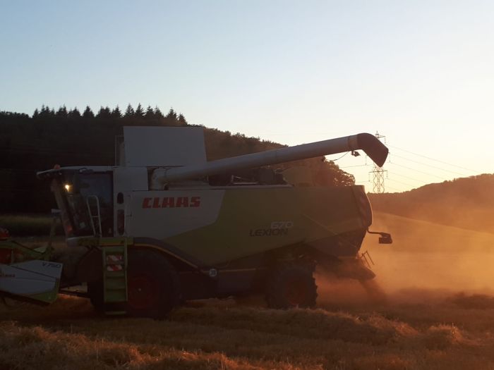 Landwirtschaft 2019 (Foto: Archiv Marbach)