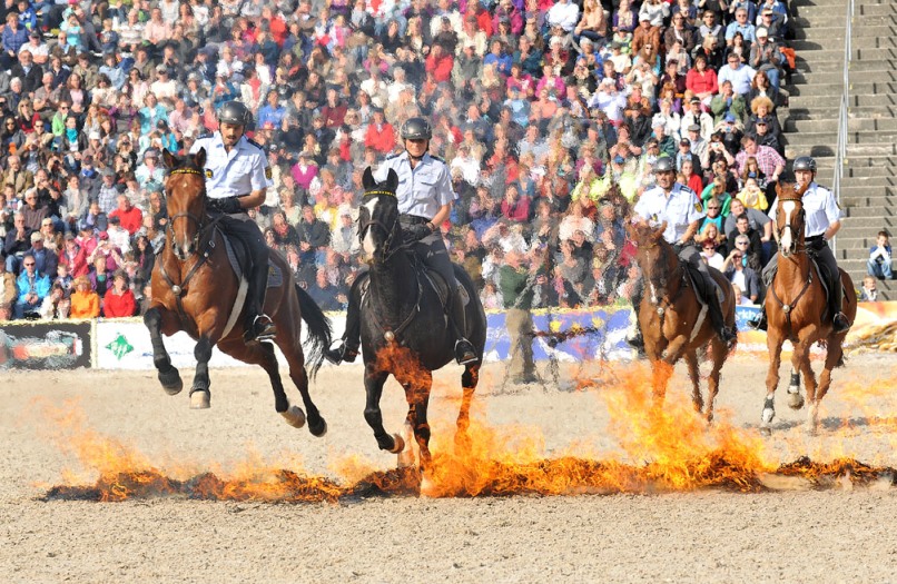 HP 2012 berittene Polizei