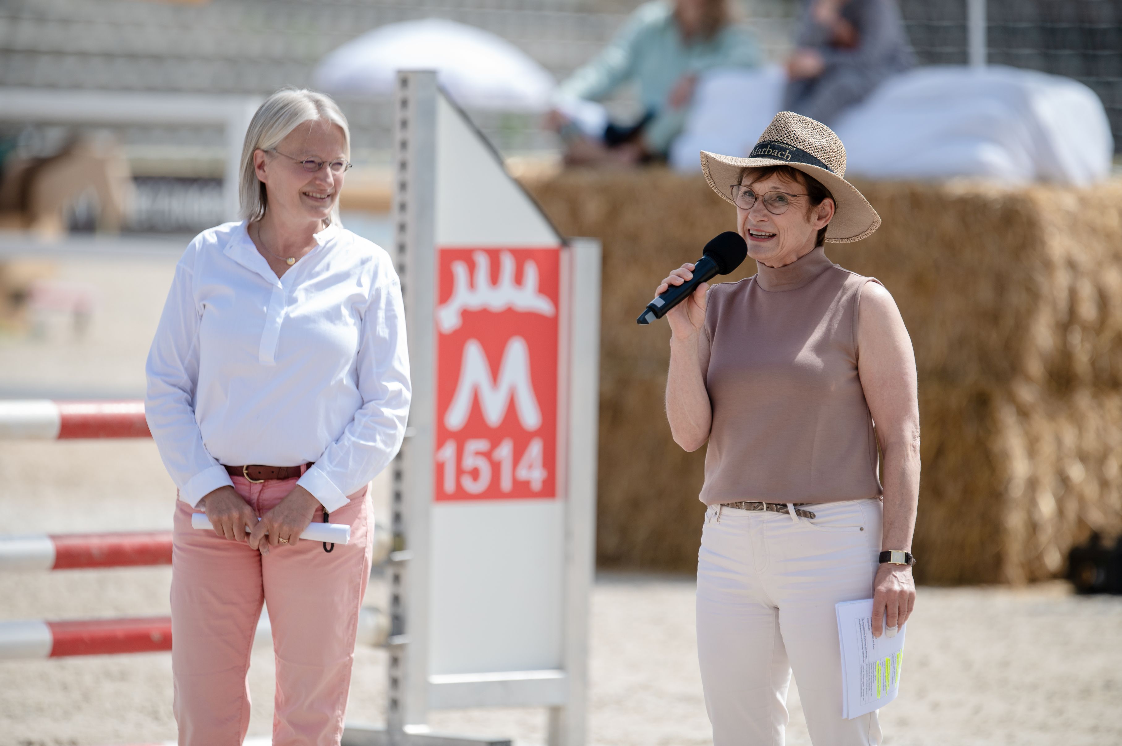 Araberstuten mit Fohlen auf Koppel