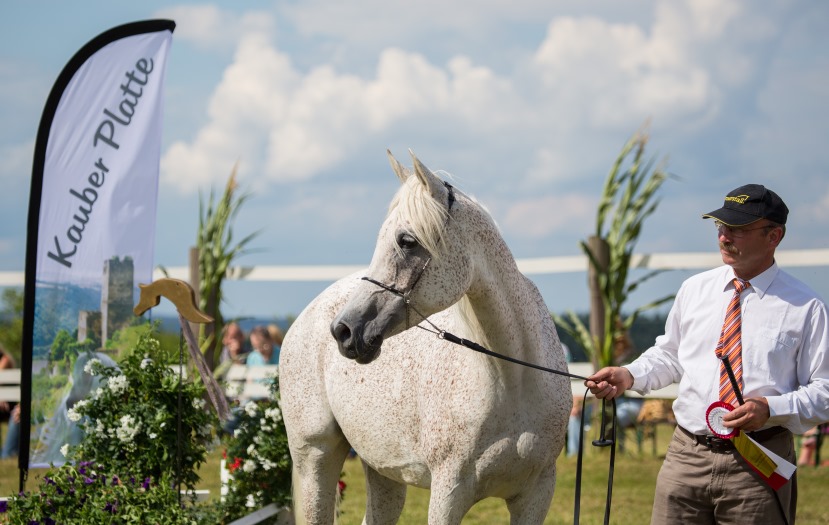 Sabiha und Stutenmeister Klaus Niethammer
