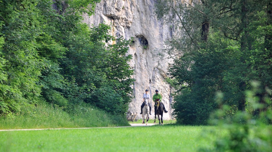Asil Club Marbach Distanz 2010 (Foto: Stephan Kube)