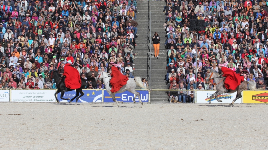 HP 2013 (Foto: Silke Busse)