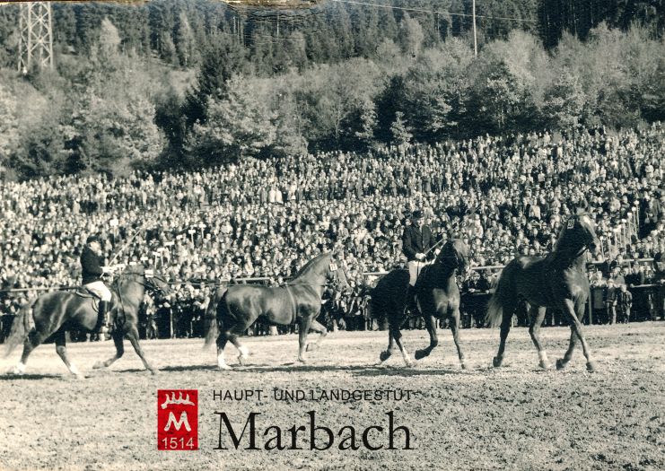 Fahrschule vom Sattel 1964 (Foto: Guttmann)