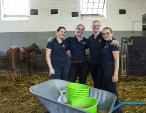 Vier Azubis um eine Schuppkarre im Araber Laufstall
