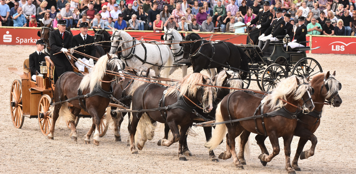 Marbach Classics 2014 in der Arena
