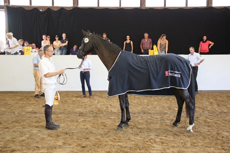 Siegerin 2019: My Lady v. Morricone