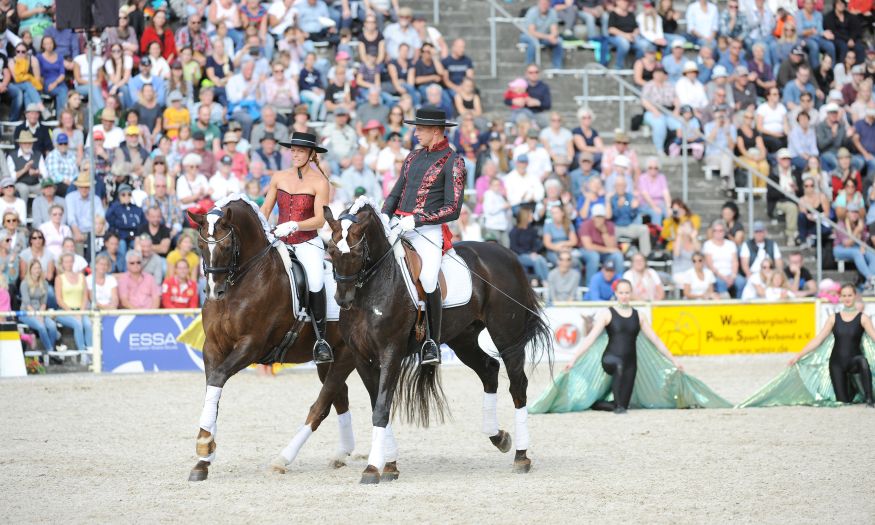 Marbacher Hengstparaden 2019