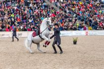 210 Hohe Schule &uuml;ber der Erde L1160845 Stephan Kube.jpg