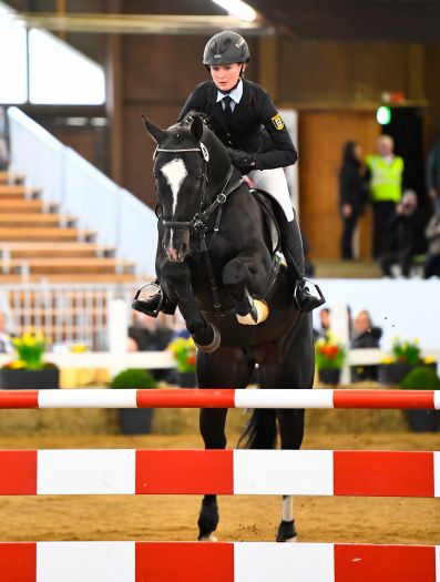 Marbacher Gestütsauktion 2019 (Foto: Max Schreiner)