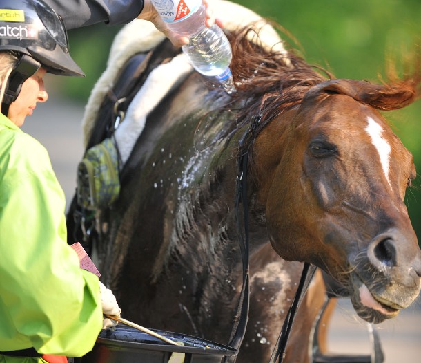 Asil Club Marbach Distanz 2010 (Foto: Stephan Kube)