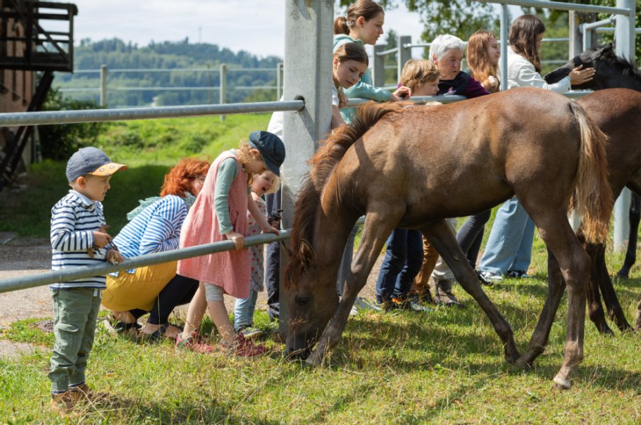 Alternativtext zum Bild