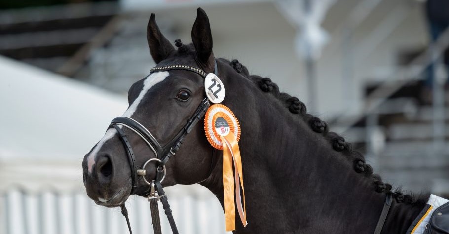 Alternativtext zum Bild