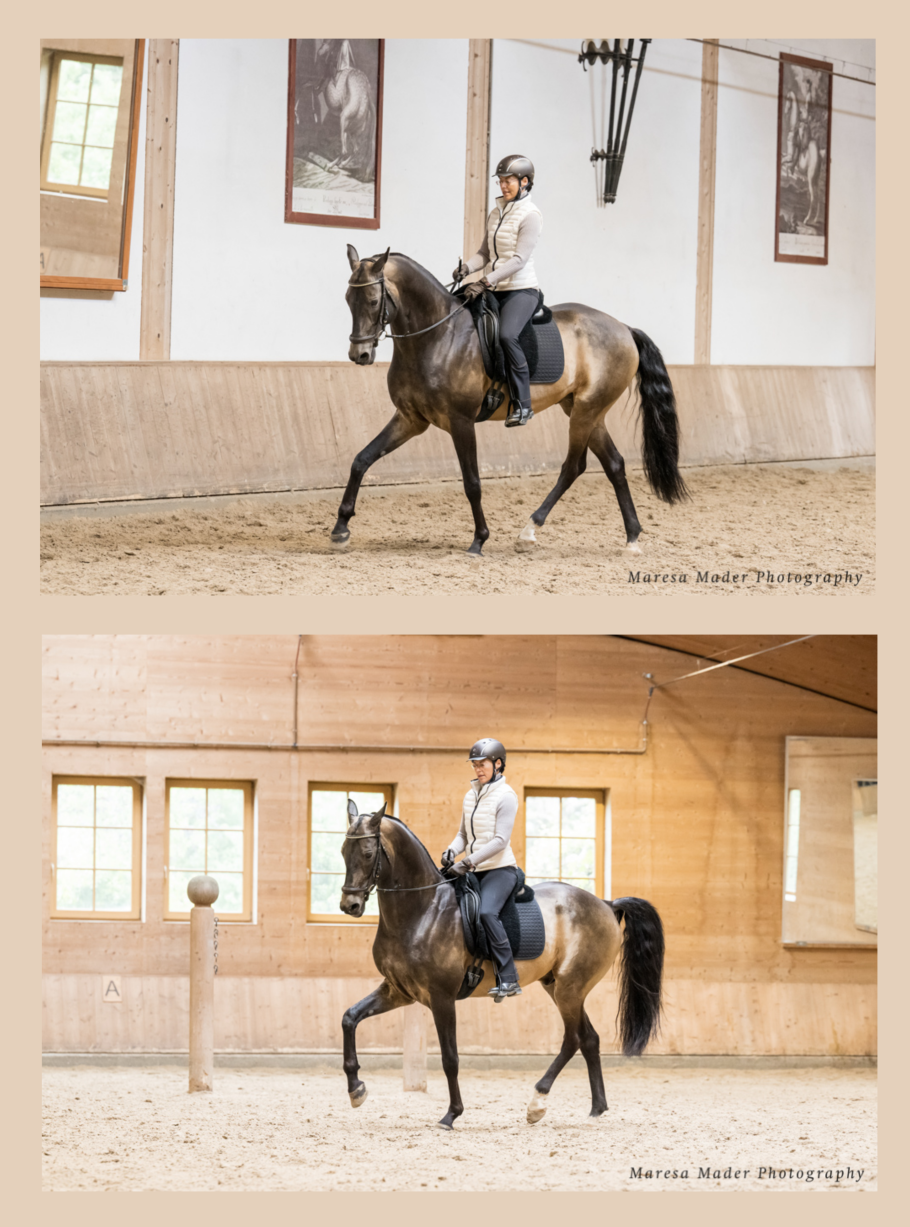 Alternativtext zum Bild