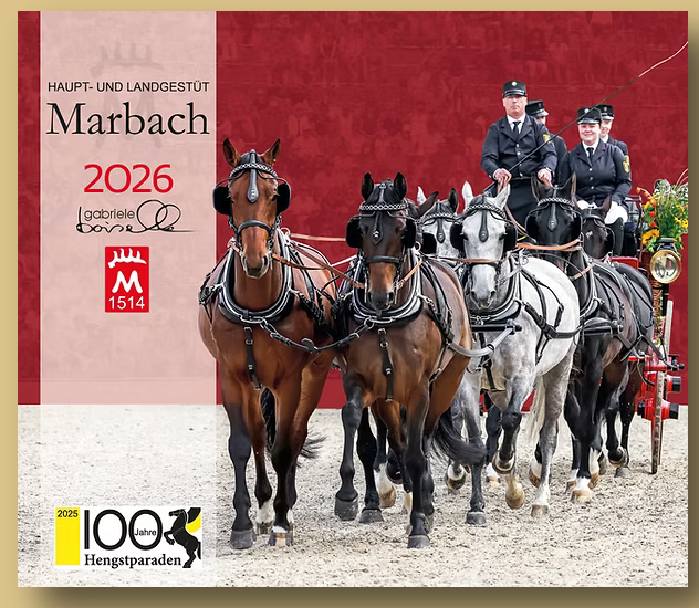 Screenshot_Kalender 2026.png