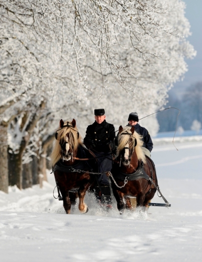 Marbach im Winter Schlitten (Foto: Maximilian Schreiner)