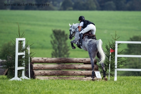 Araber springt geritten &uuml;ber ein Vielseitigkeitshindernis