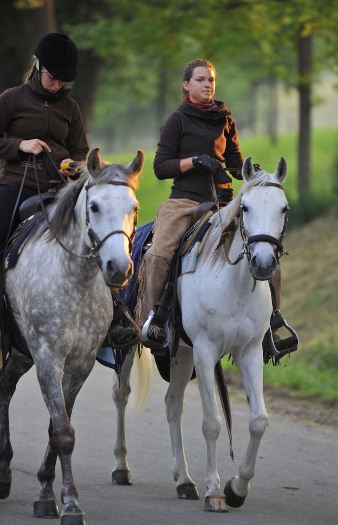 Asil Club Marbach Distanz 2010 (Foto: Stephan Kube)