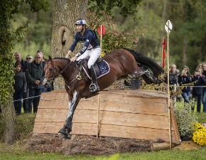 Vielseitigkeitspferd Cestuy über dem Sprung