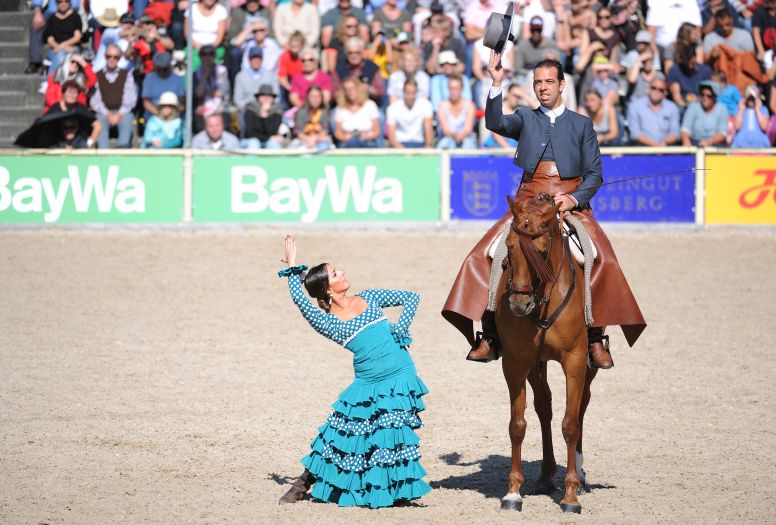 Marbacher Hengstparaden 2019