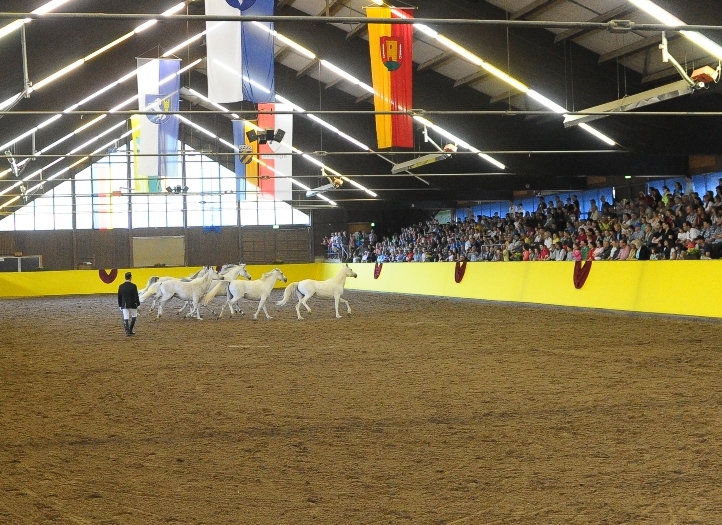 Festwochenende 500 Jahre Marbach Foto Maximilian Schreiner