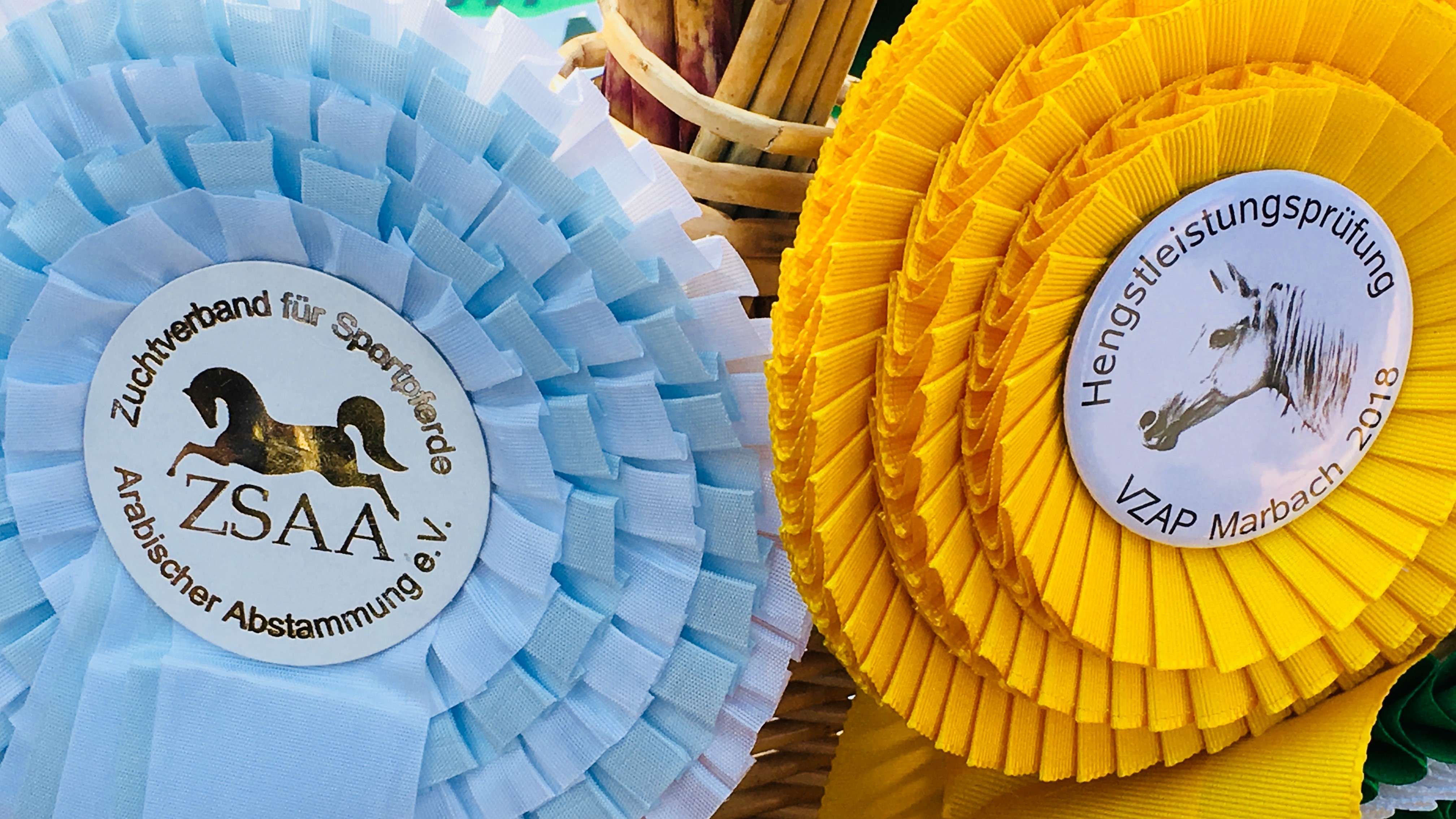 Blaue Schleife vom ZSAA und goldene Schleife vom VZAP