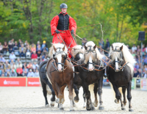 Thomas Schick mit Ungarischer Post