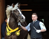 Mendel koerung sieger -Scheu.jpg