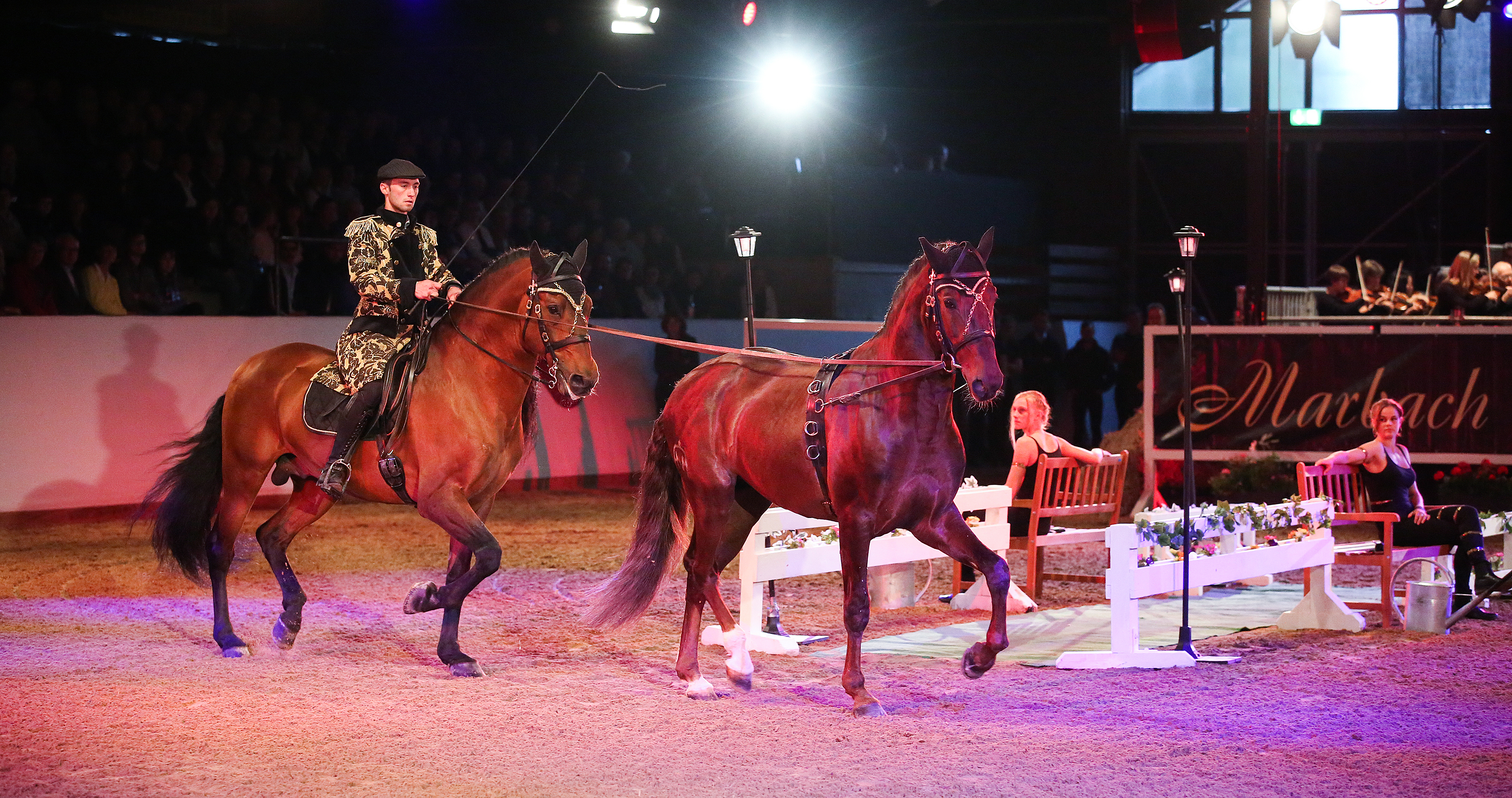 Marbach Classics 2018 (Foto: Warnack)