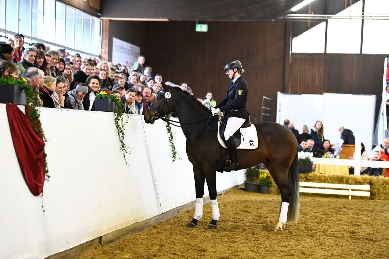 Marbacher Gestütsauktion 2018 (Foto: Max Schreiner)