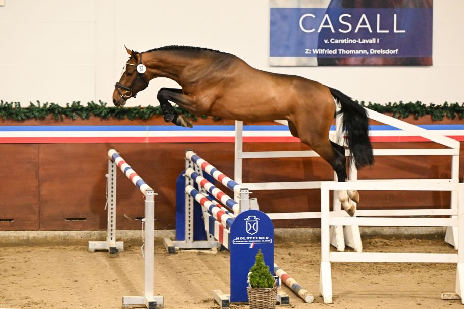 Alternativtext zum Bild