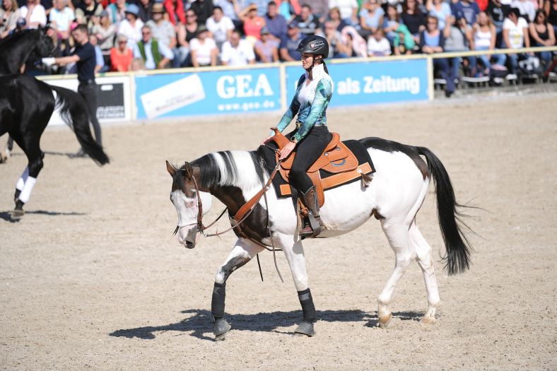 Marbacher Hengstparaden 2019