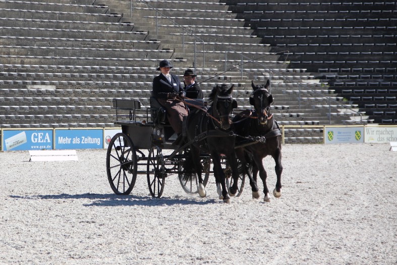 Zweispänner in der Arena