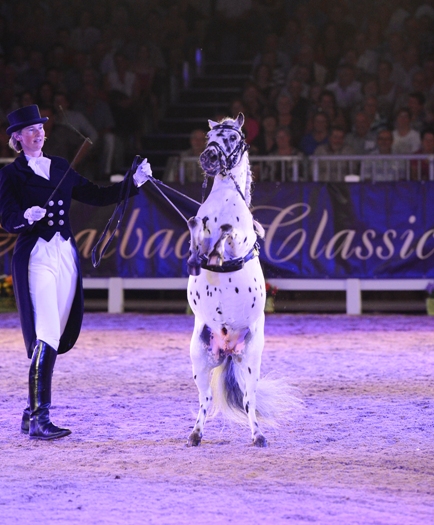 Marbach Classics 2012 (Foto: Maximilian Schreiner)