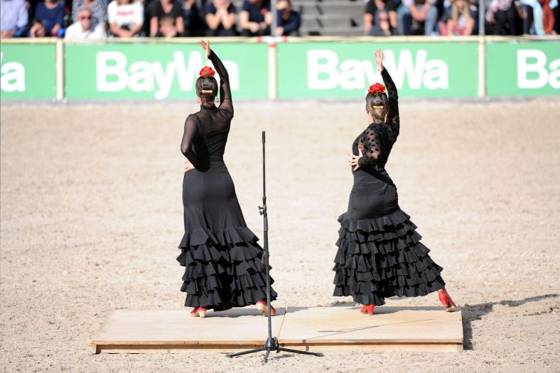 Marbacher Hengstparaden 2019