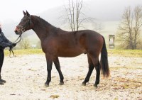 Aragon - Foto Gille  (24).JPG