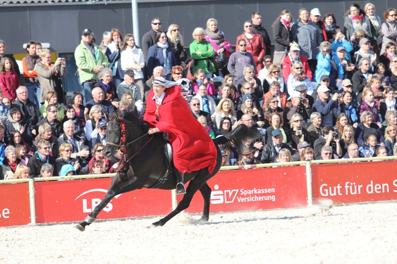 HP 2013 (Foto: Silke Busse)