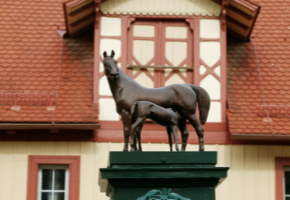 Stute und Fohlen auf dem Stutenbrunnen