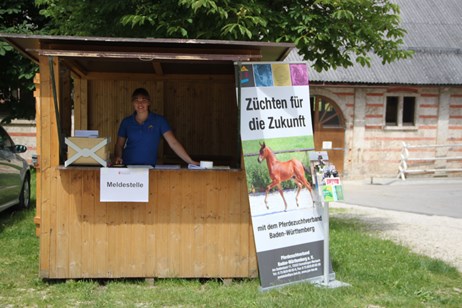 Meldestelle Pferdezuchtverband