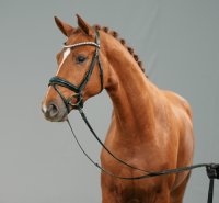 07_91_Damaschino I-Dimaggio-07658 &copy;RECKIMEDIA.jpg