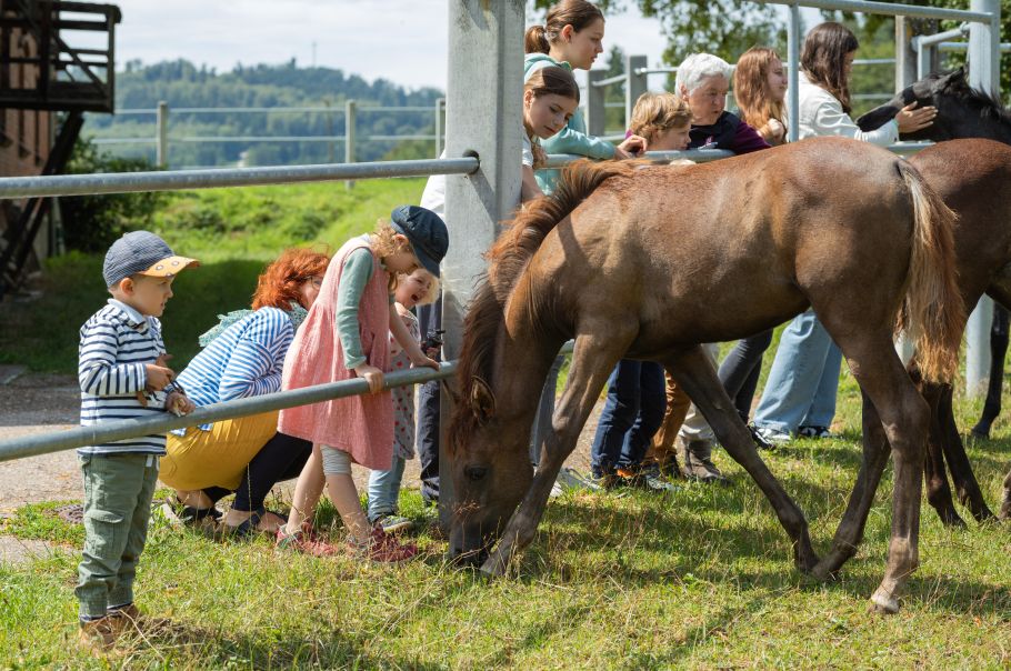Alternativtext zum Bild
