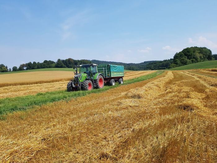 Landwirtschaft 2019 (Foto: Archiv Marbach)